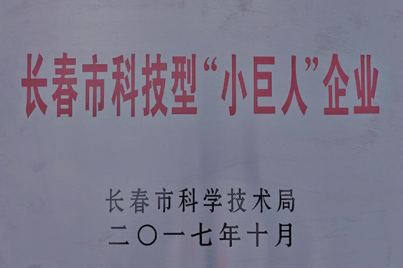  長春市科技型“小巨人”企業(yè)